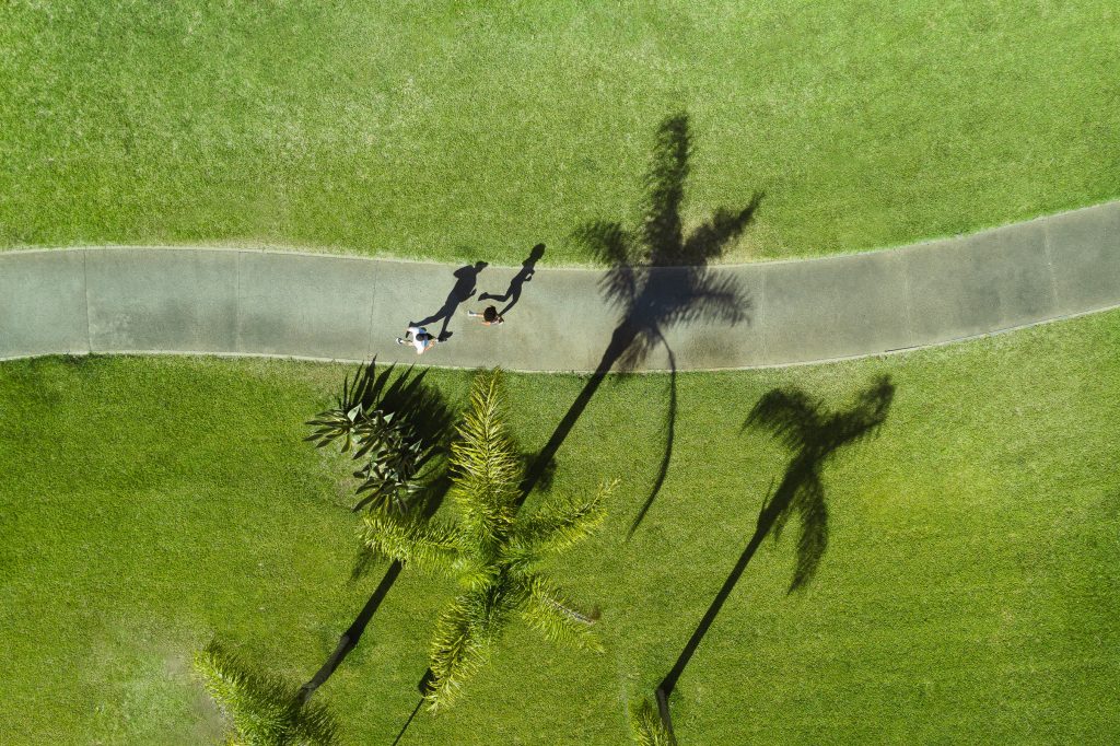 An overhead view of a walkway cutting through a lush green lawn in Vilamoura, with two people walking and casting long shadows beside tall palm trees.