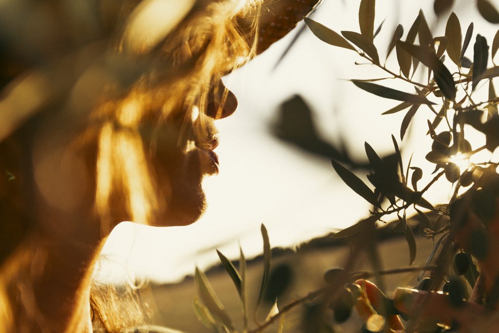 Sunlit scene of a woman among olive trees, with warm golden light highlighting her profile and the branches around her, evoking a sense of connection to nature and tranquility.